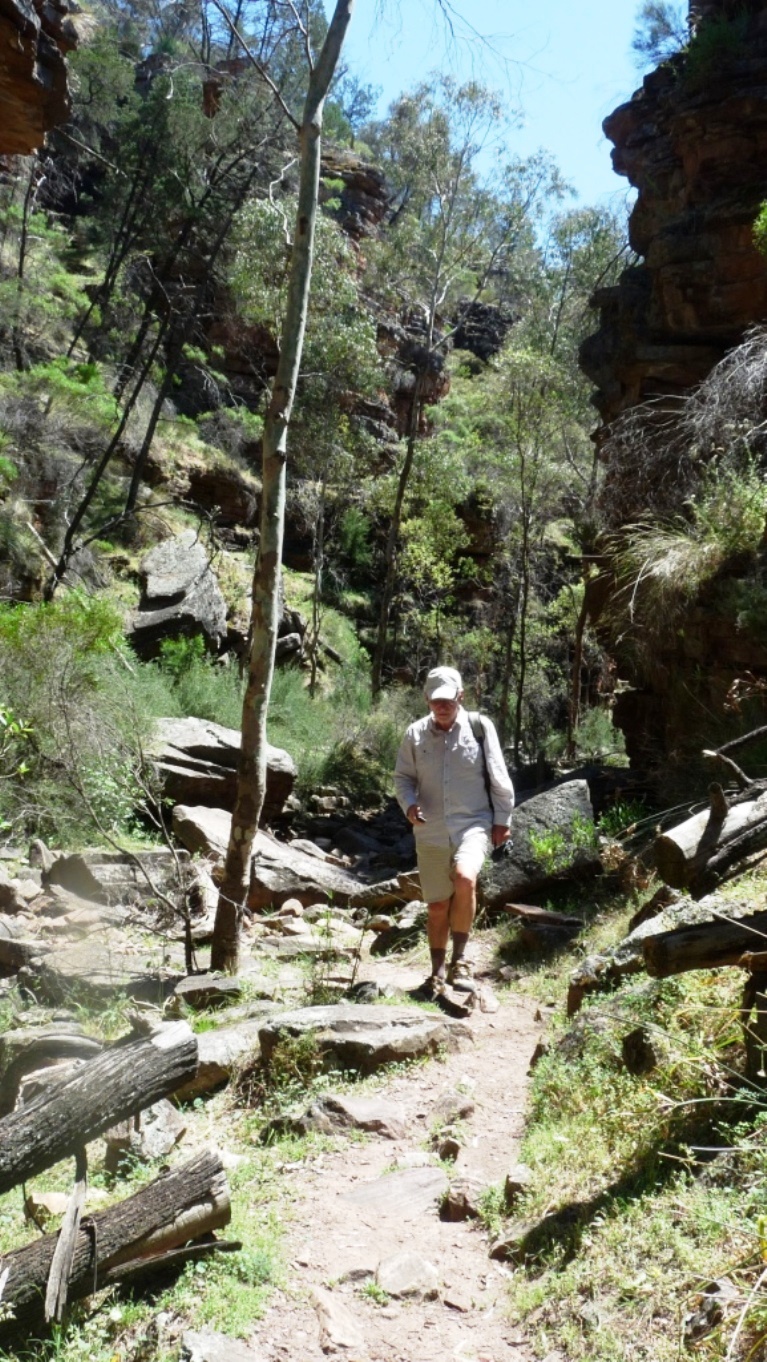 Alligator Gorge
